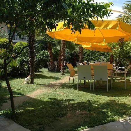 Niko Paradise Platamon